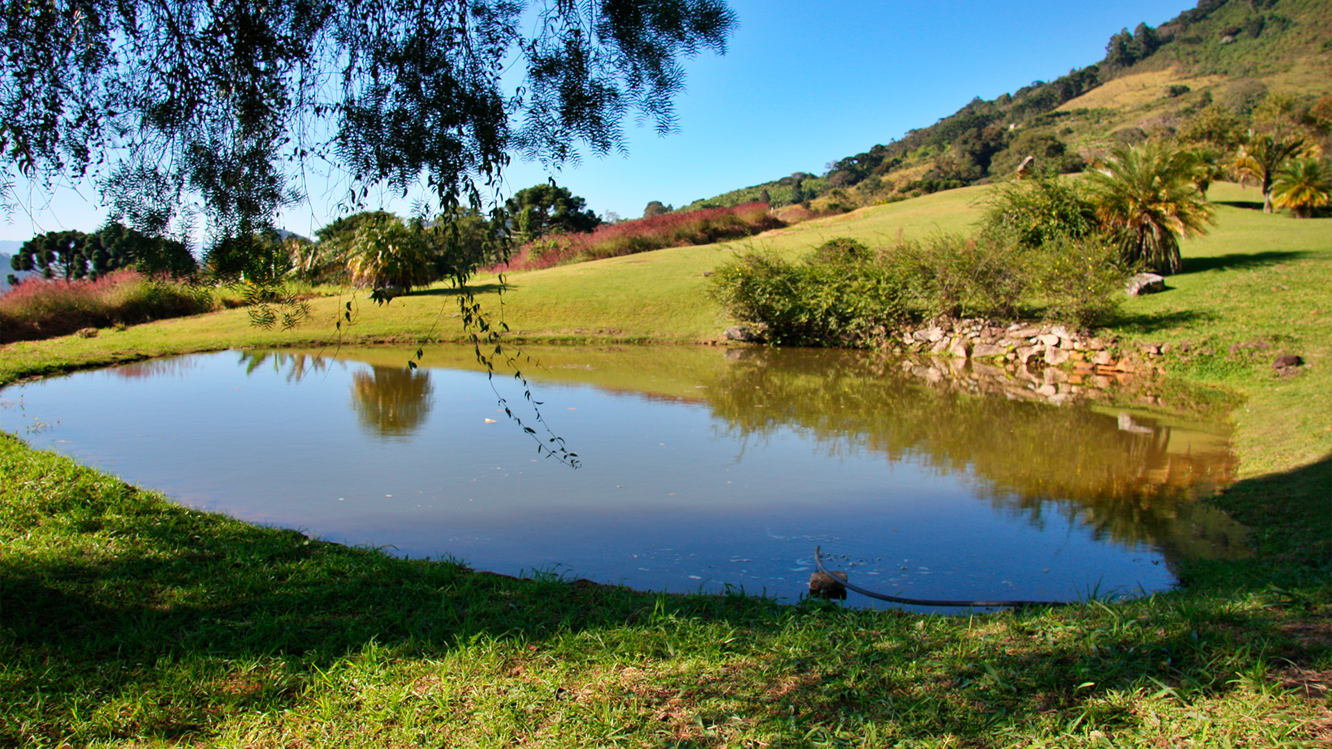 JARDIM - 02