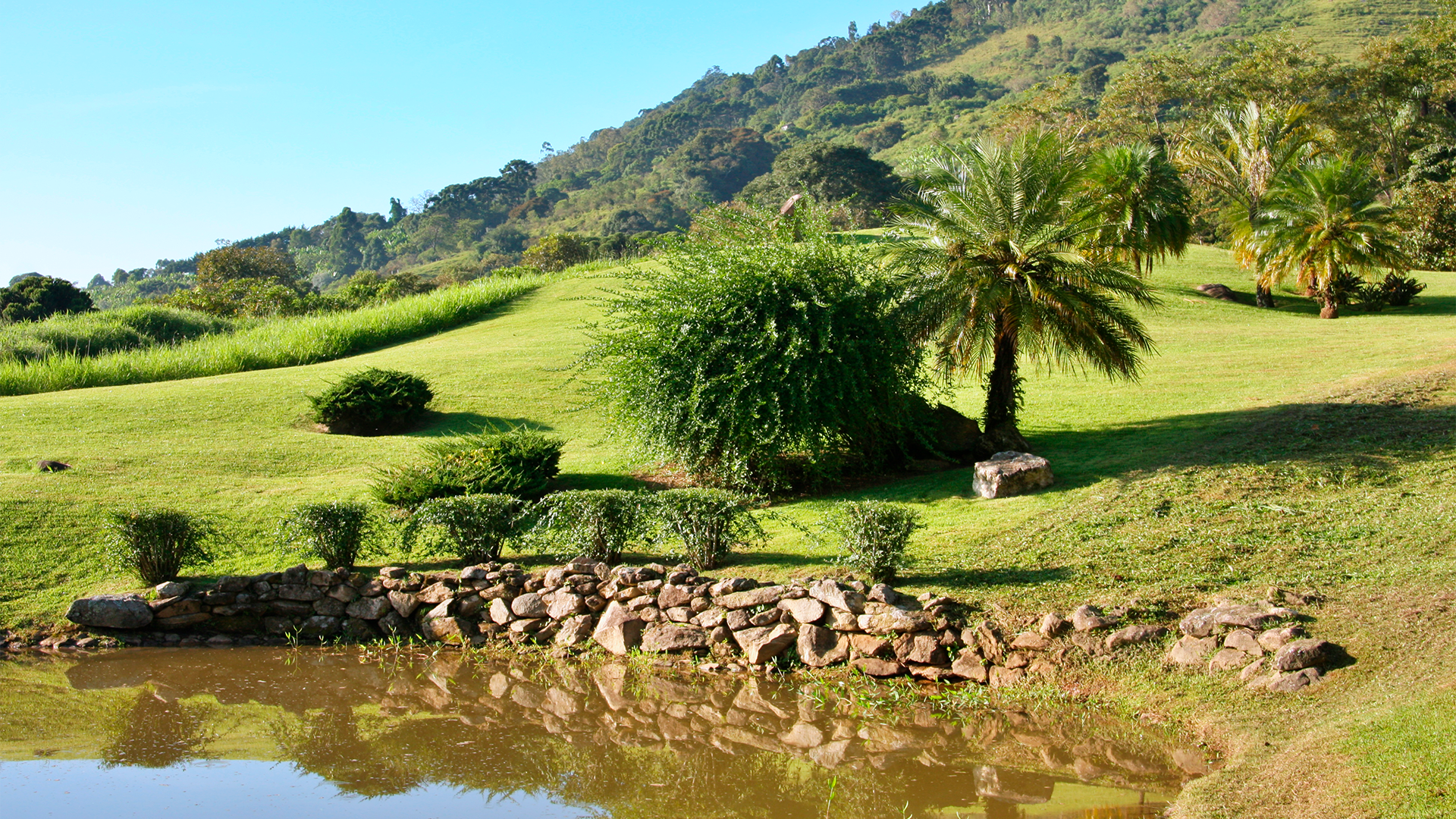 JARDIM - 08